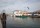 Chioggia13  un bateau de pêche est arrivé, déchargement