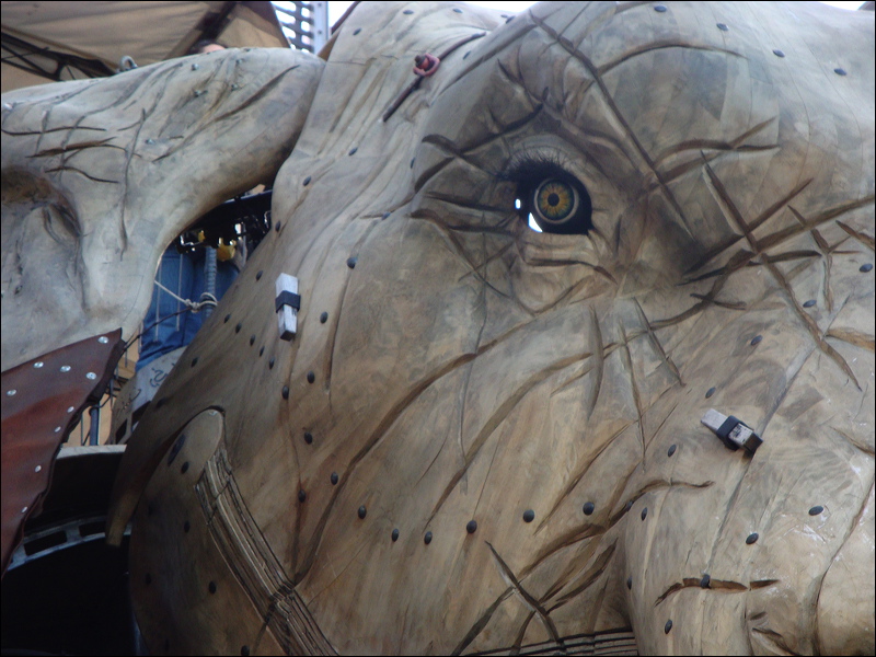 ile_aux_machines_elephant4.jpg